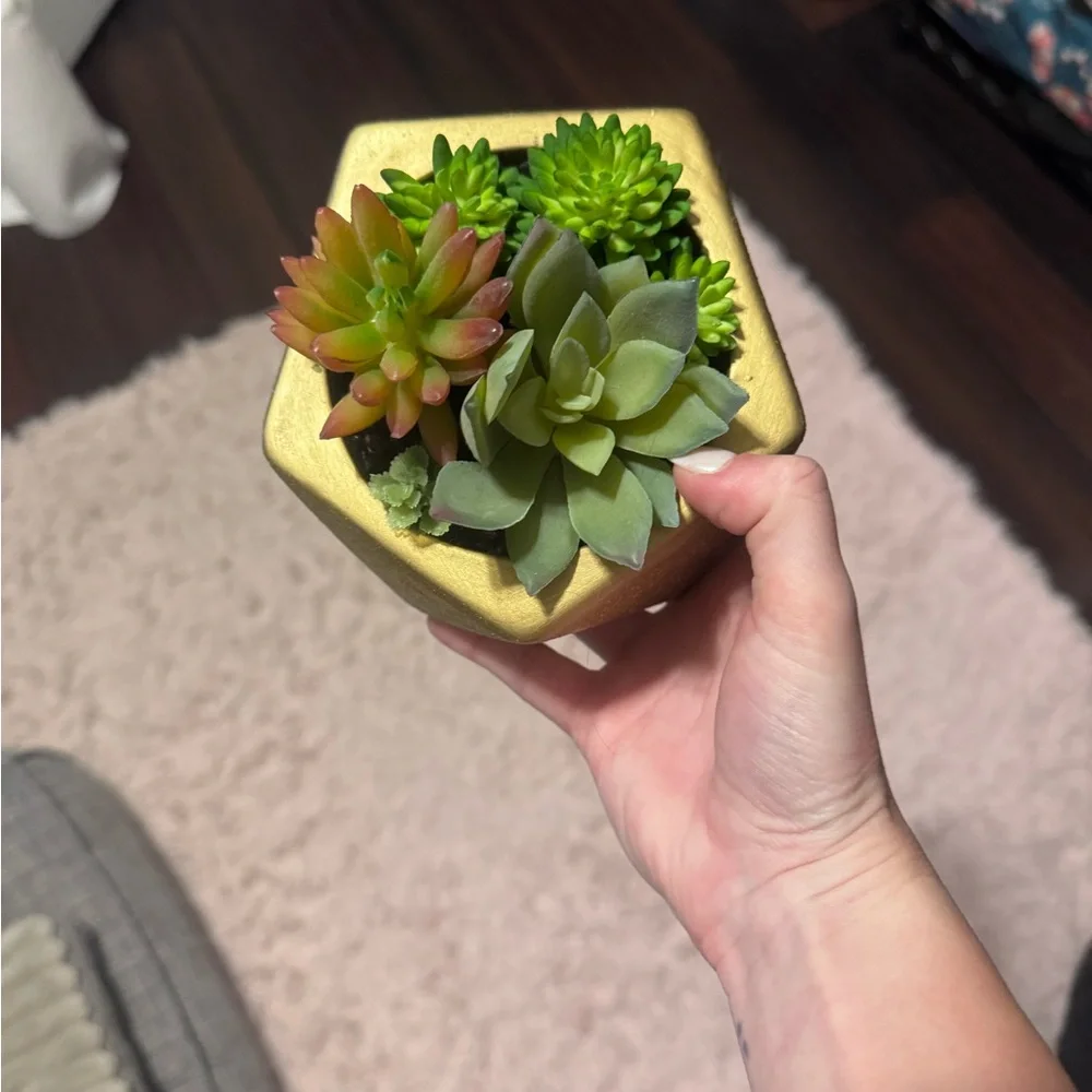 Gold Planter with Green Succulents